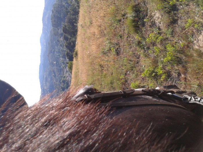 Photo de profil de ptitekuillere