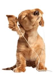 Photo de profil de qnzml