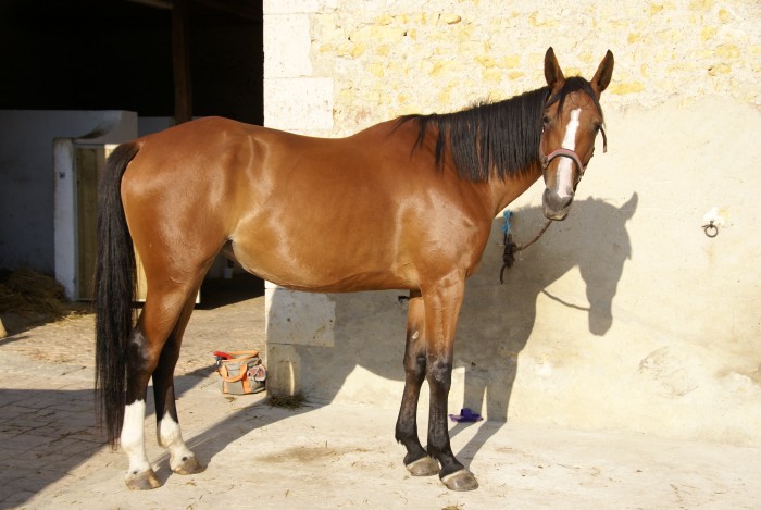 Photo de profil de qouikiedemai