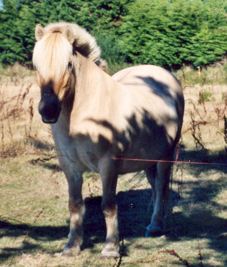 Photo de profil de quadfly