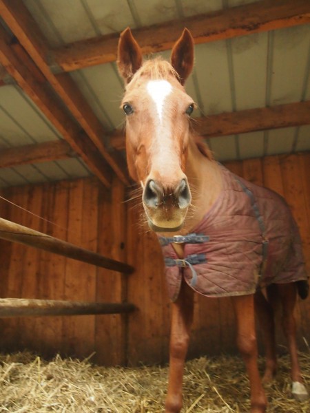 Photo de profil de queenettedu73