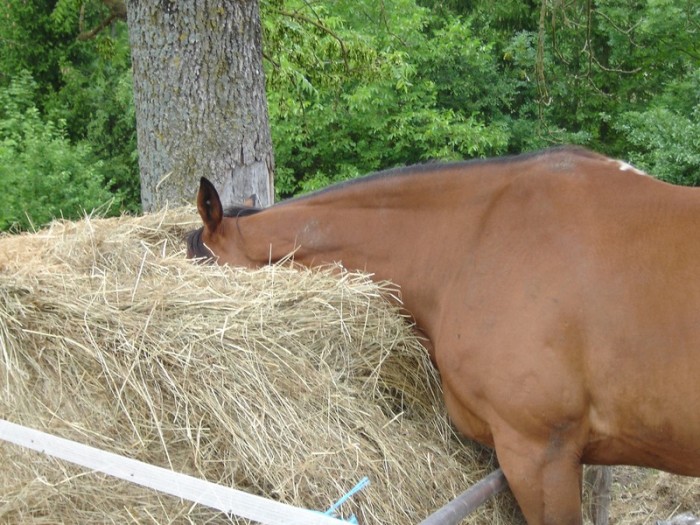 Photo de profil de quentinou1405