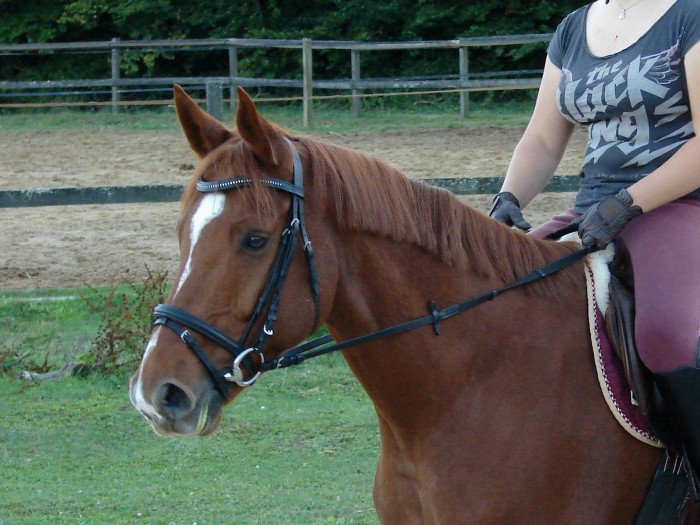 Photo de profil de realaxdf