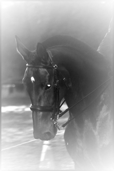 Photo de profil de sabliere