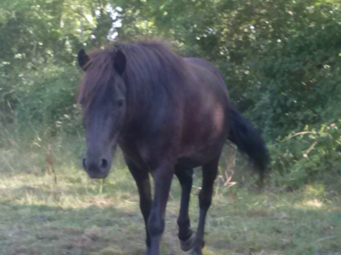 Photo de profil de sandysr