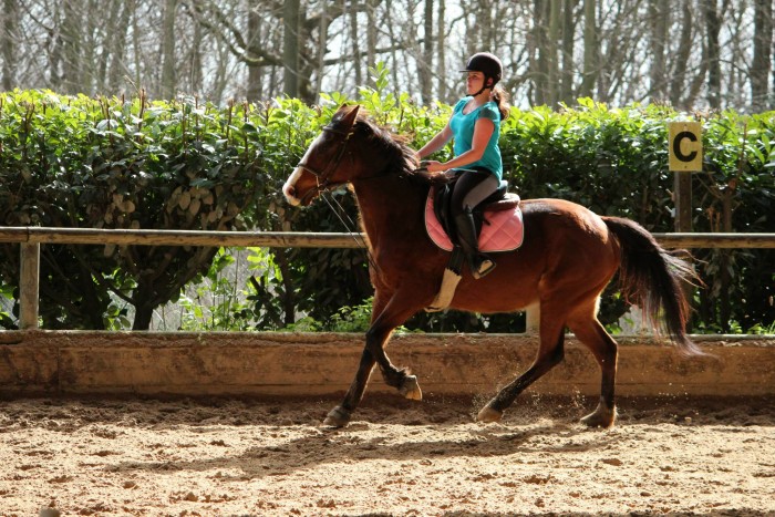 Photo de profil de sarah762
