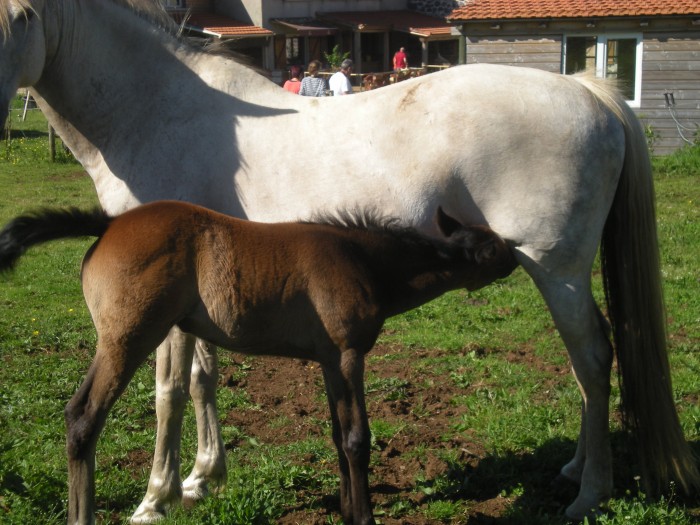 Photo de profil de sarahdup92