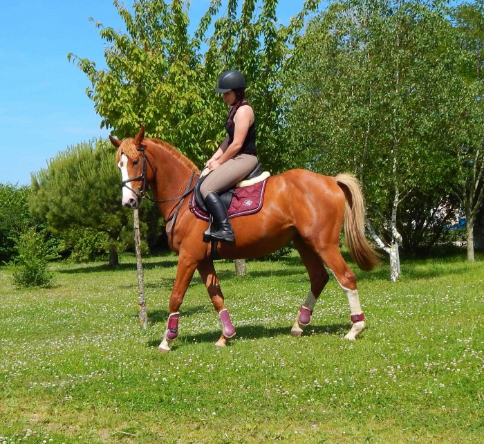 Photo de profil de sarahrosebery