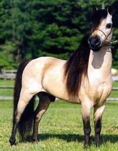 Photo de profil de schascha58