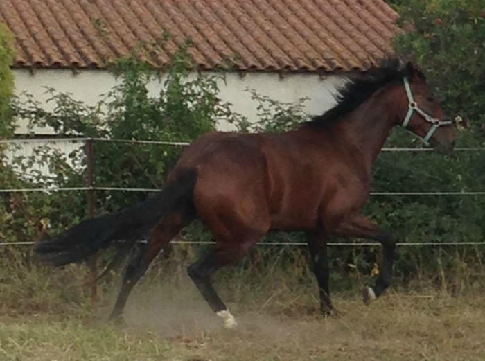 Photo de profil de selina.tf