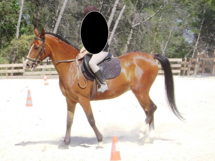 Photo de profil de sevcheb