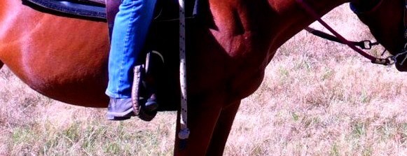 Photo de profil de sicambres