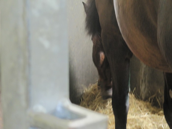 Photo de profil de socekima