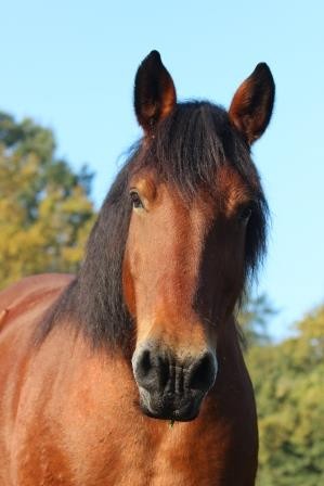 Photo de profil de sonson