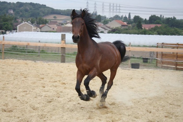 Photo de profil de sophieandchou