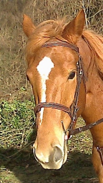 Photo de profil de sorameli