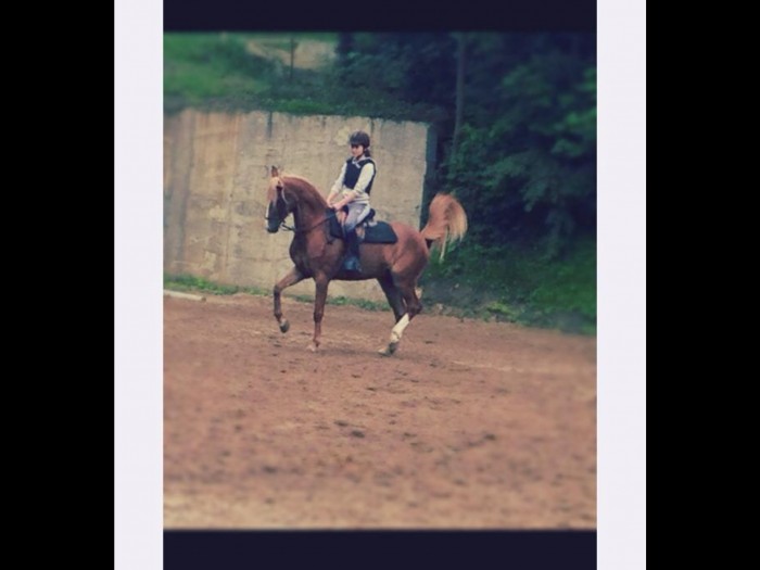 Photo de profil de soterel