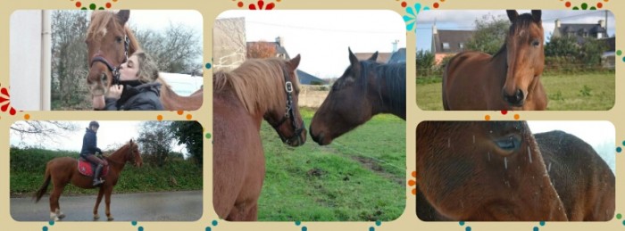 Photo de profil de symphonielamule