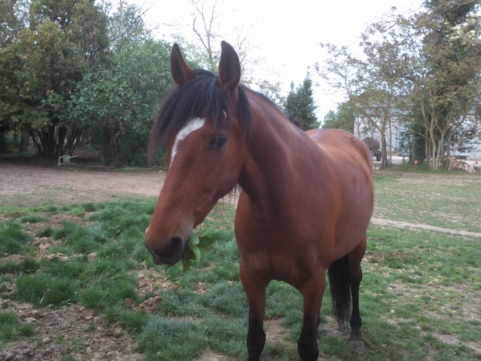 Photo de profil de symres17