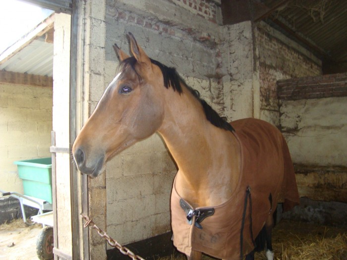 Photo de profil de tcervoni62