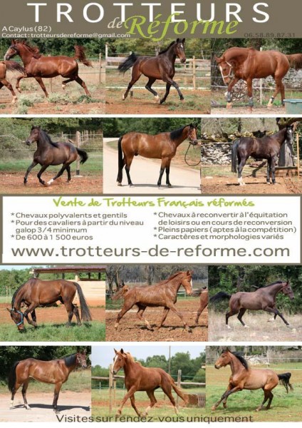 Photo de profil de tdr82