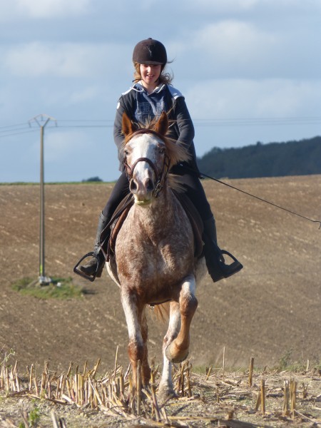 Photo de profil de telleudm