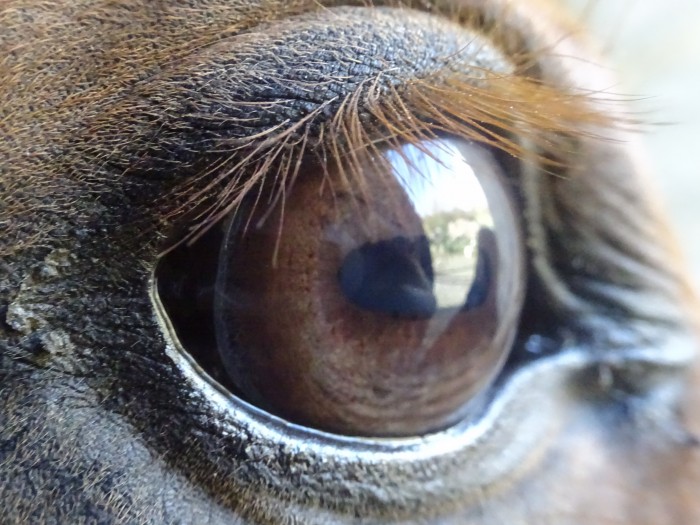 Photo de profil de tess1012