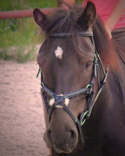 Photo de profil de tigrozetlea