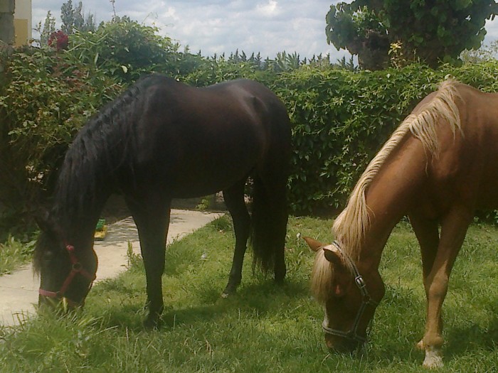 Photo de profil de tina508