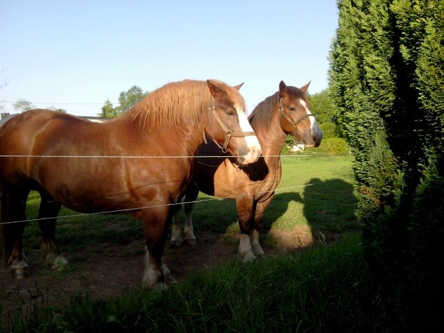 Photo de profil de tina_alicia