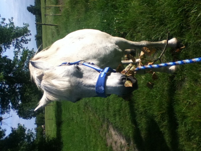 Photo de profil de titi33