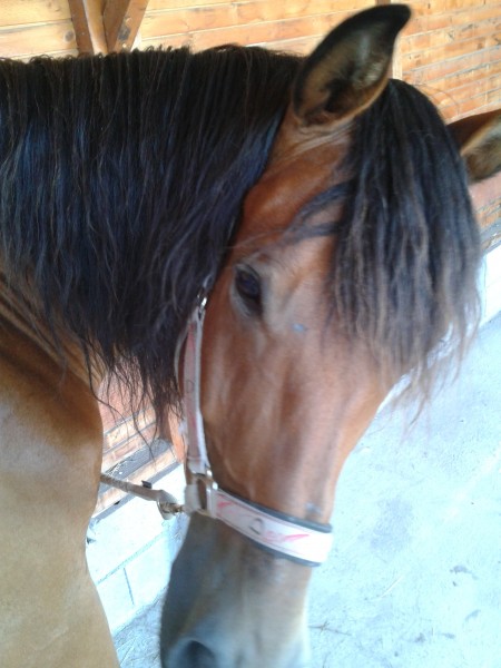 Photo de profil de titiboy