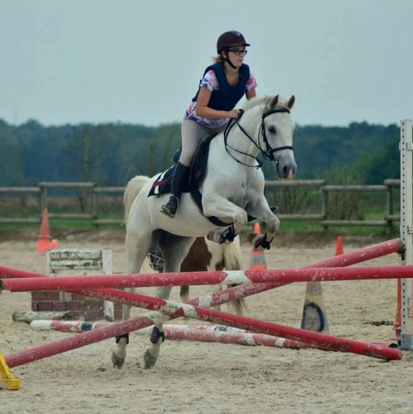 Photo de profil de titmoustique