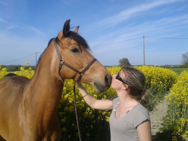 Photo de profil de toundra