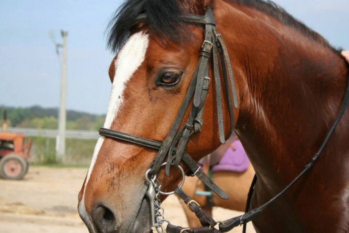 Photo de profil de ubys