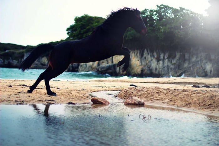 Photo de profil de uchanna56