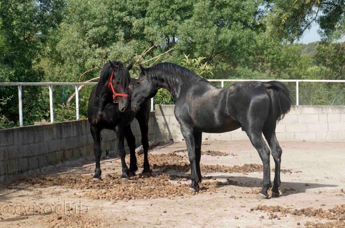 Photo de profil de utopiablanca