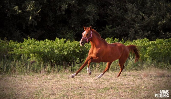 Photo de profil de vifi1