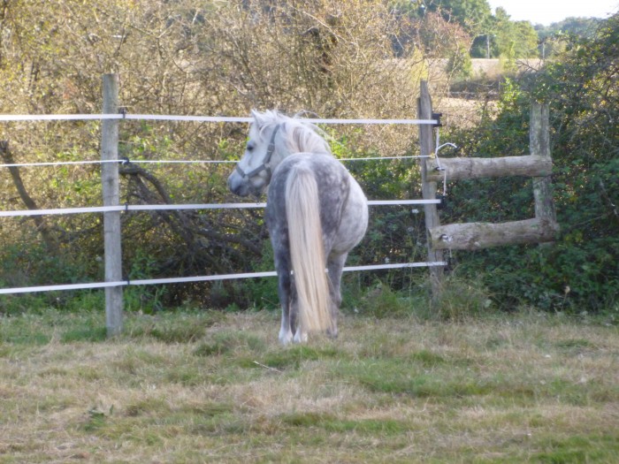 Photo de profil de viperdarcalie