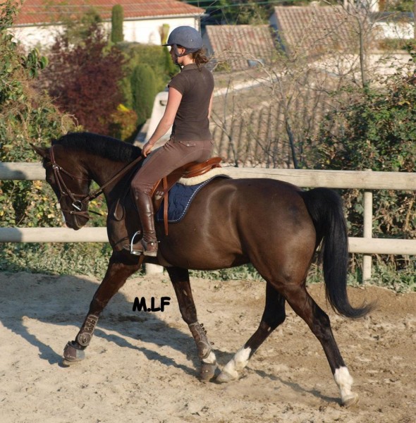 Photo de profil de vivi04