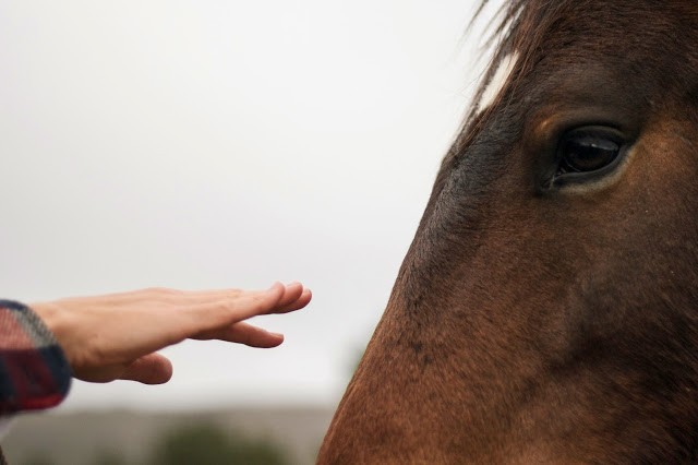 Photo de profil de wendyrando