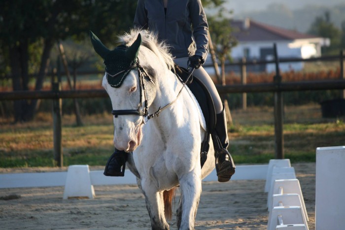 Photo de profil de xbrune