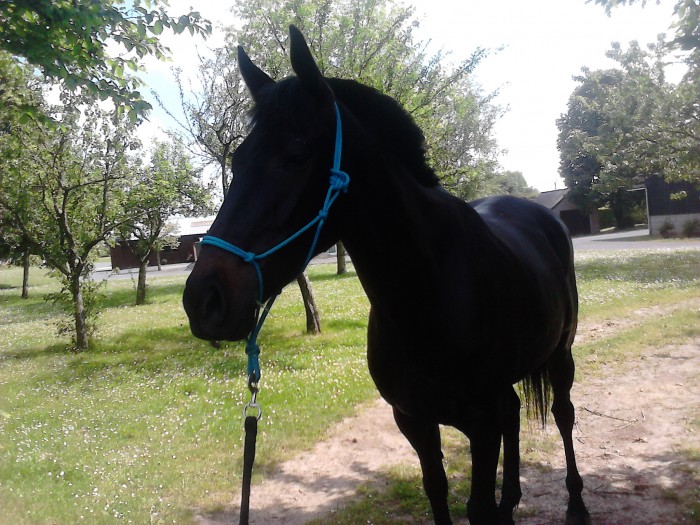 Photo de profil de yonnatom