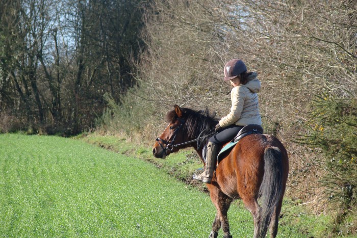 Photo de profil de aanuage