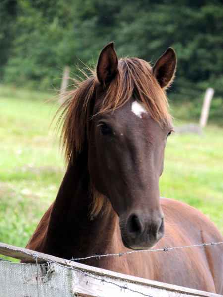 Photo de profil de aapo