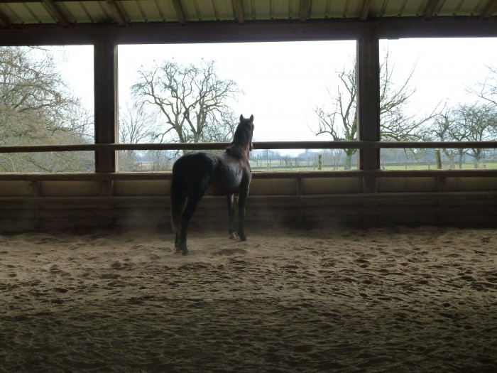 Photo de profil de achille23