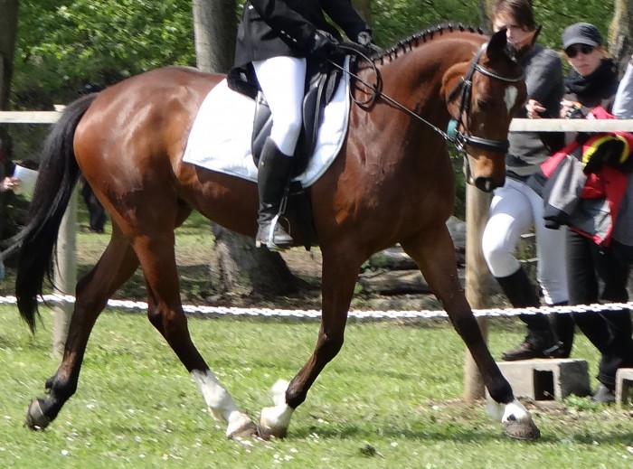 Photo de profil de a-dream-to-fail