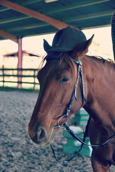 Photo de profil de angele86320