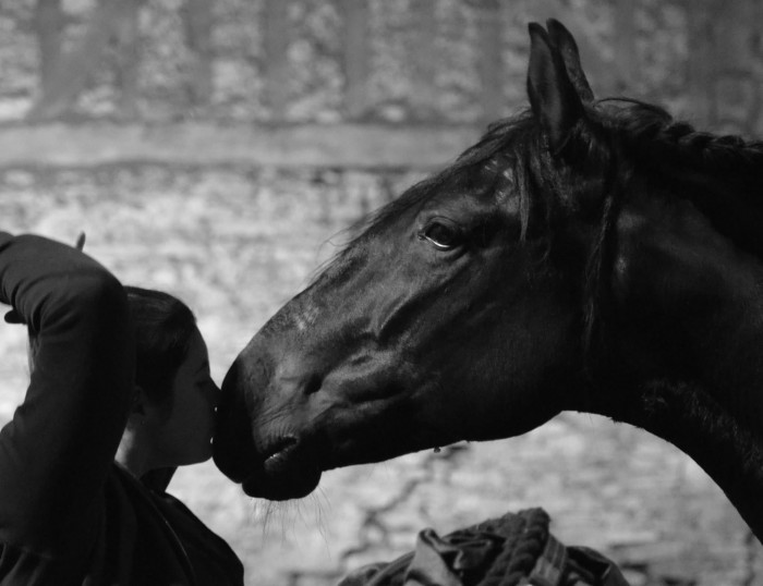 Photo de profil de annesaw