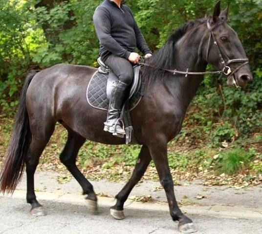 Photo de profil de arjolaine